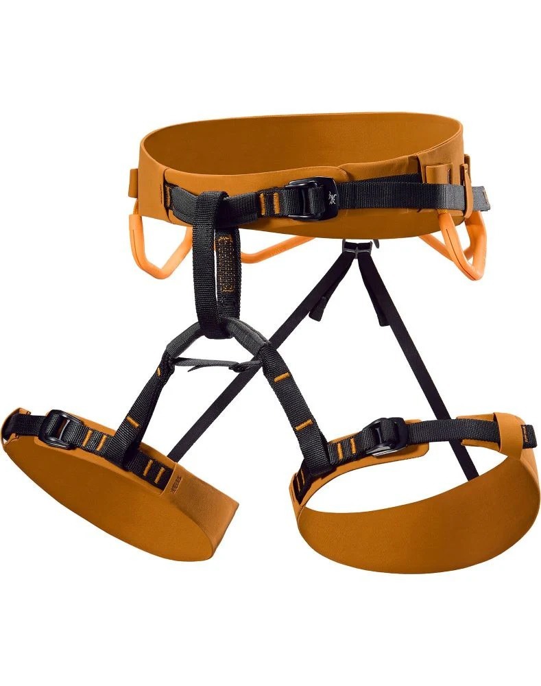 Arcteryx ar 385a sales