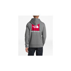 the north face grey sweatshirt