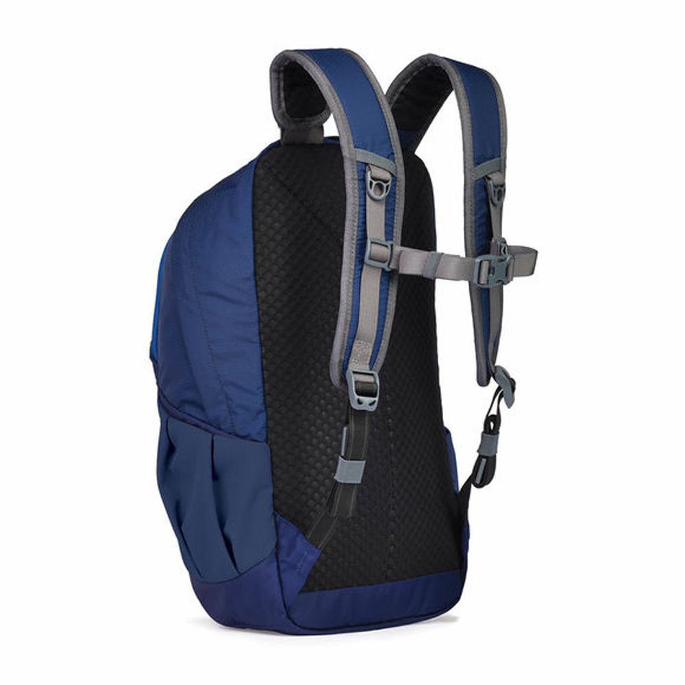 pacsafe venturesafe 15l gii anti theft daypack