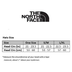 The North Face Logo Futurelight Hat