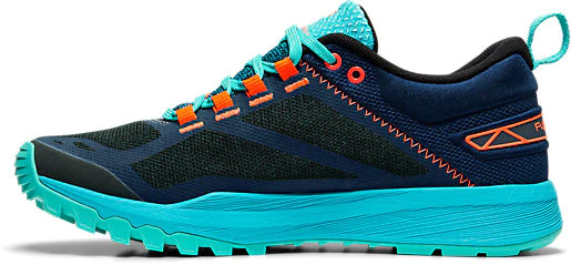 fuji lyte xt