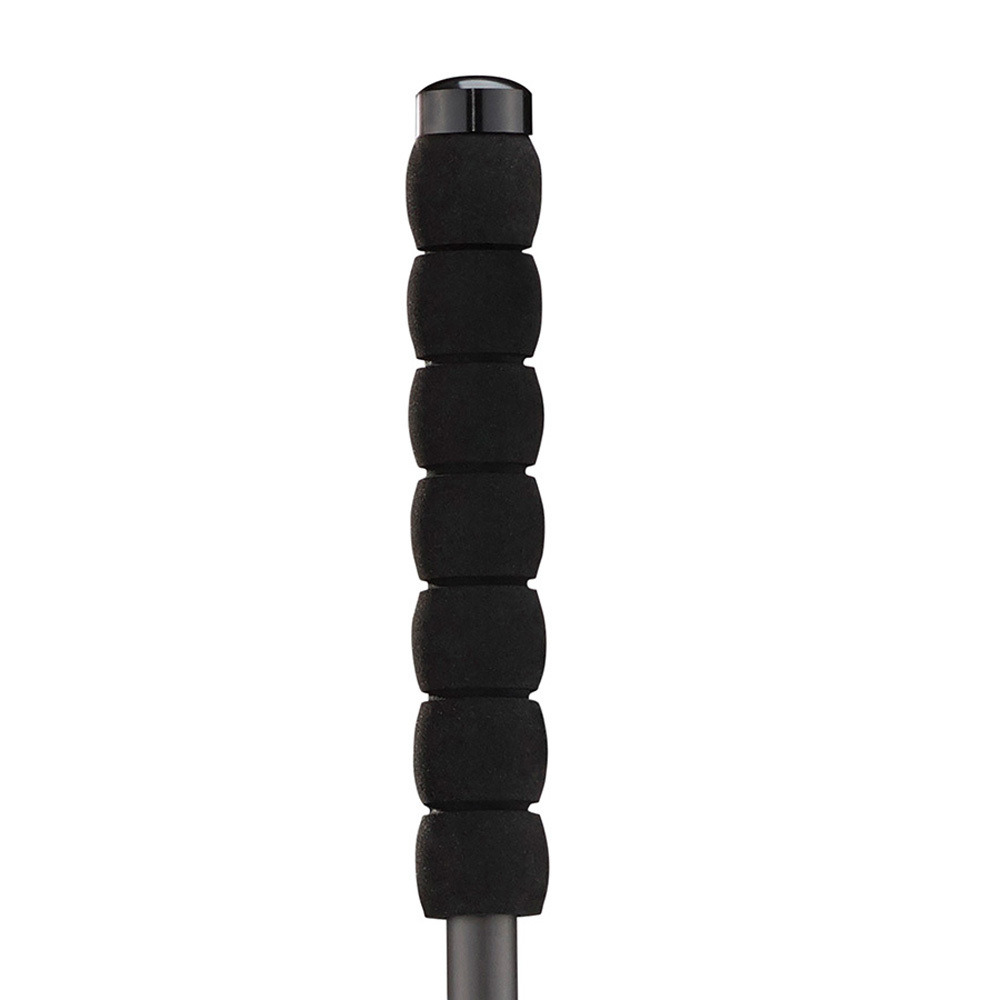 salomon running poles