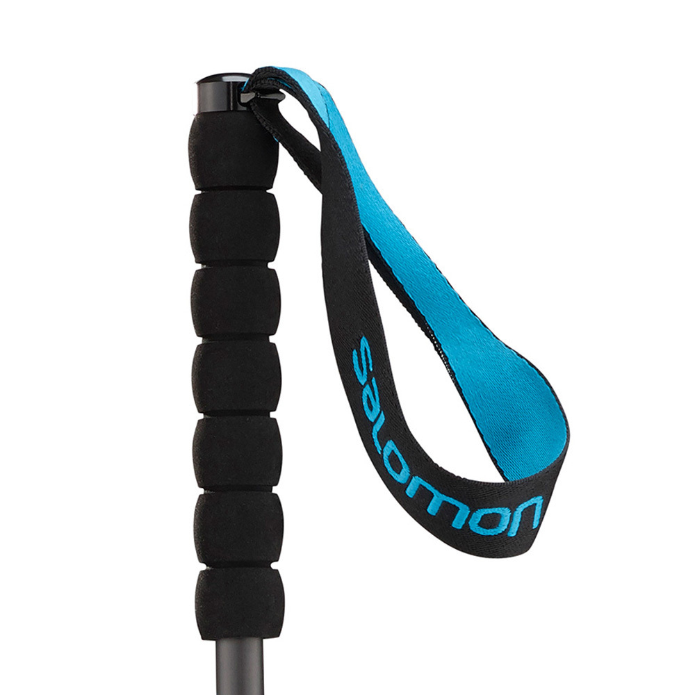 salomon running poles