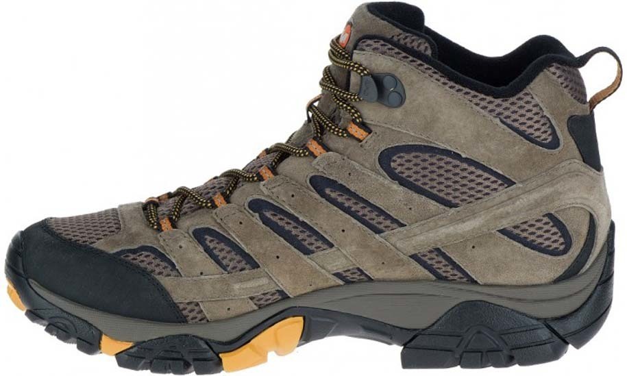 walnut merrell