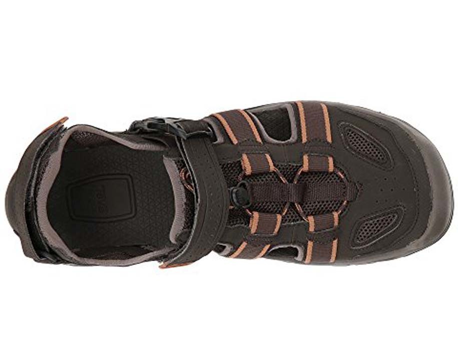 teva omnium 2 mens