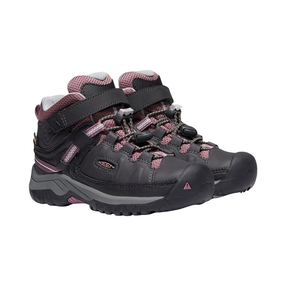 targhee mid wp