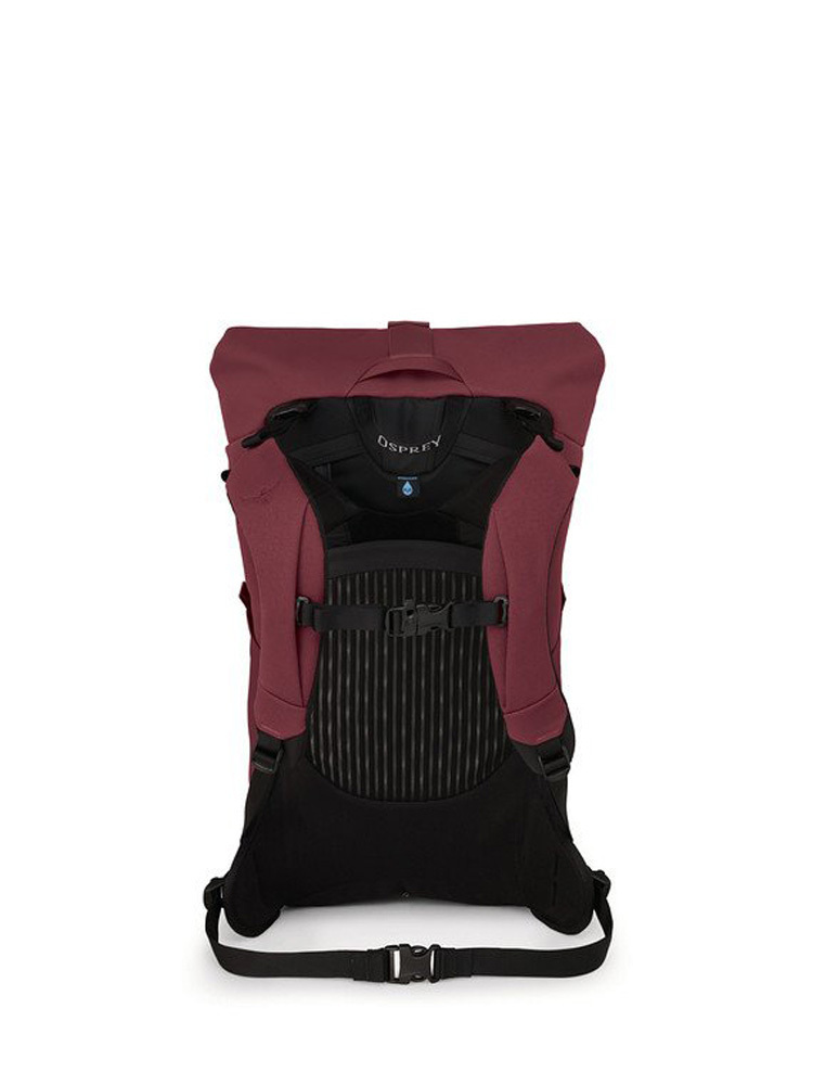 Download Osprey Archeon 25 Womens Roll Top Backpack