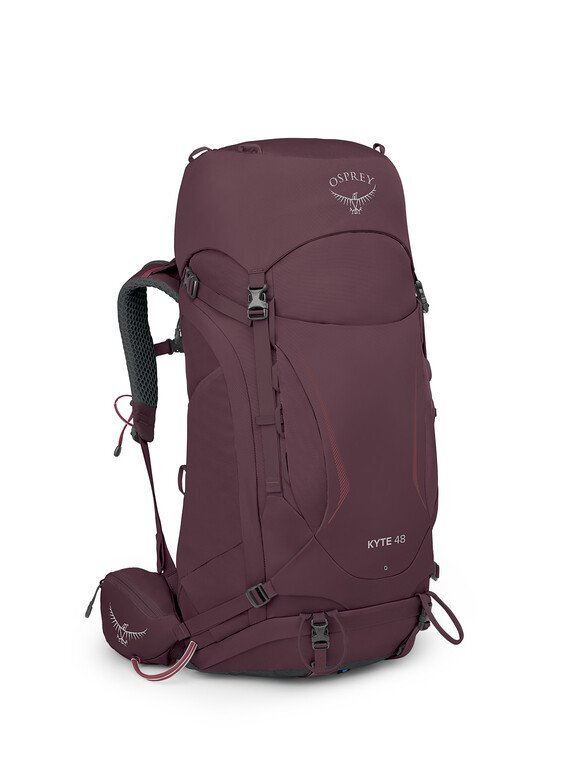 Elderberry Purple