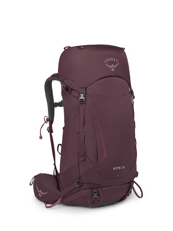 Osprey 38l best sale
