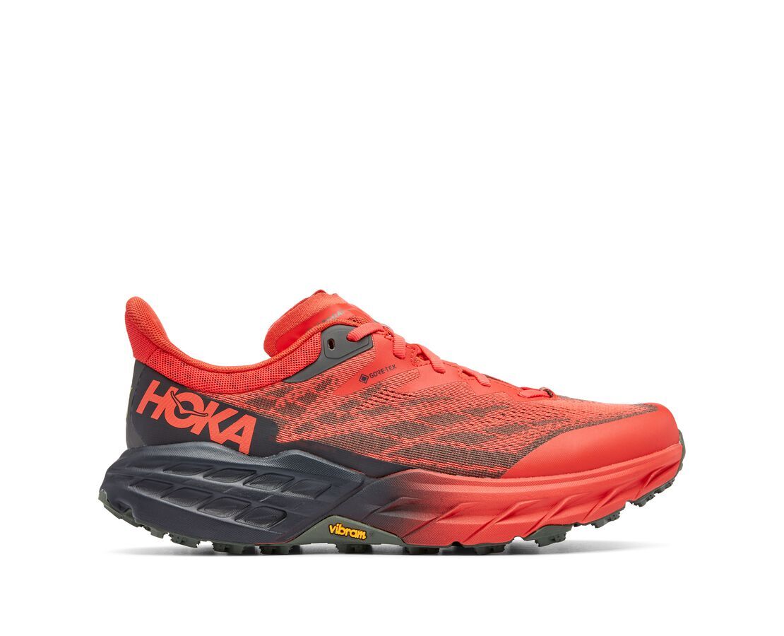 Gore tex trail hotsell running shoes mens