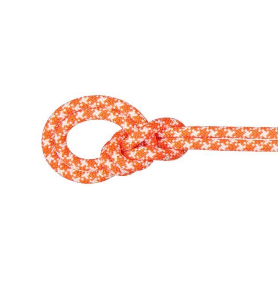 Vibrant Orange/White