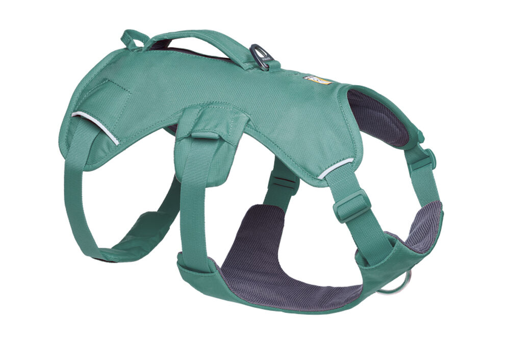 Ruffwear Web Master Dog Harness with Handle - River Rock Green - L/XL