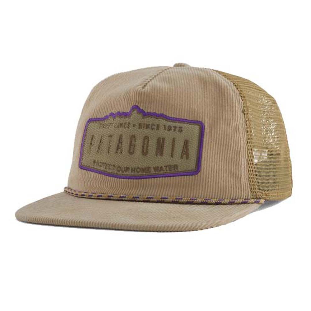 Patagonia tan best sale hat