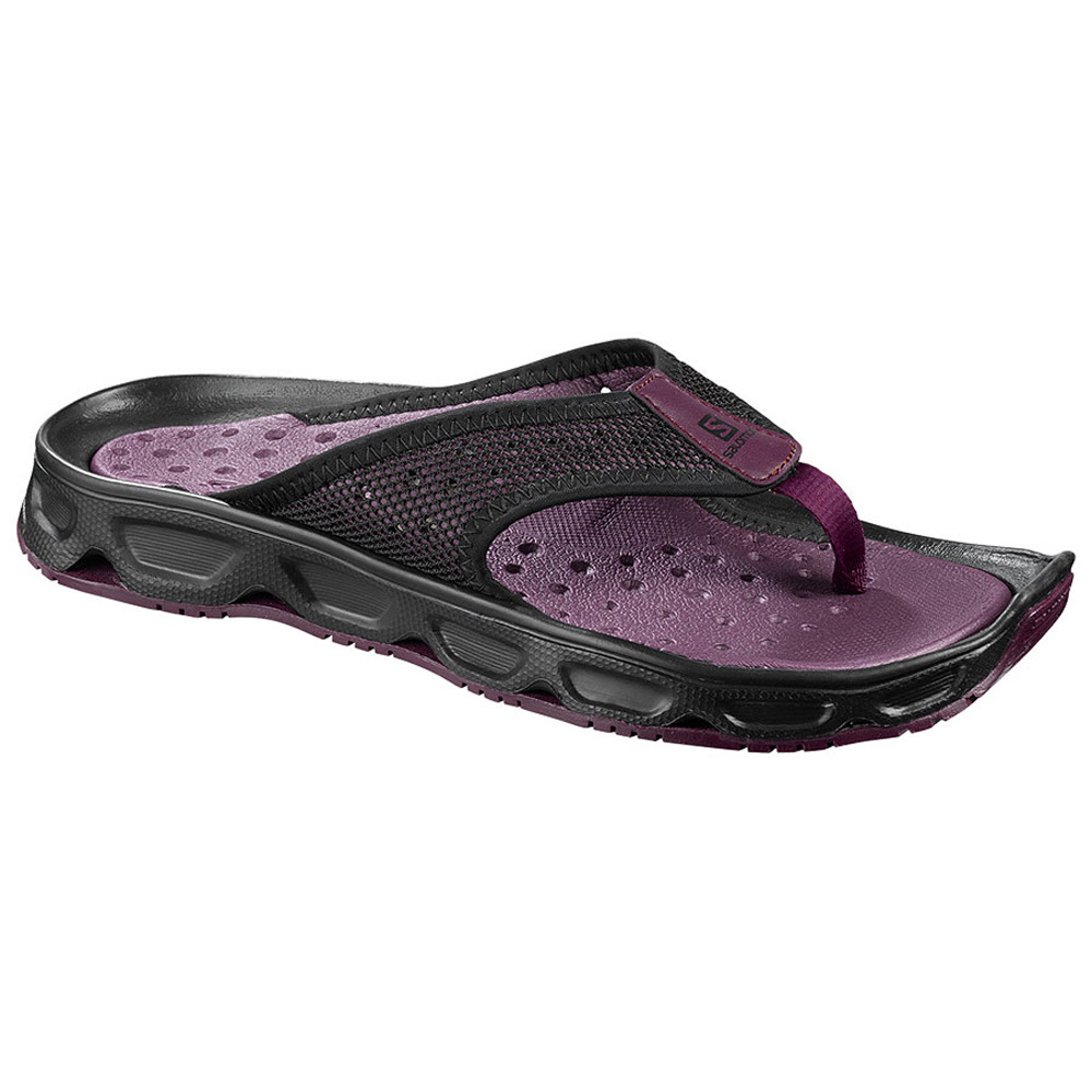 salomon purple