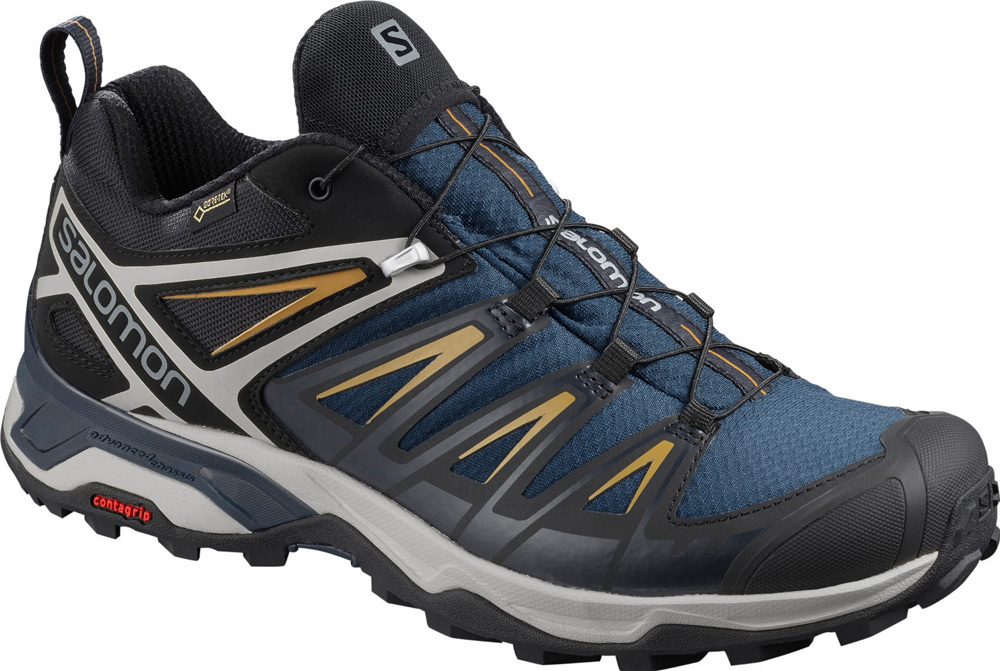 salomon gtx shoes