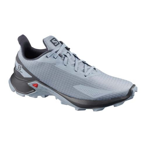 men's salomon alphacross shoes