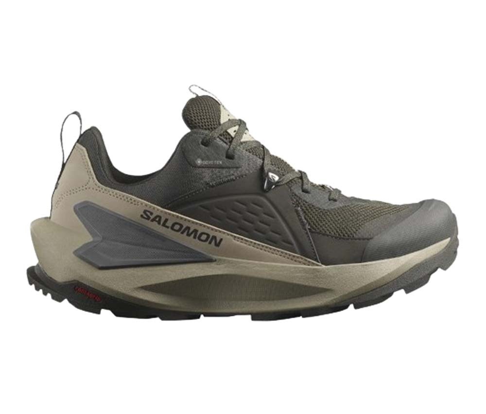 Salomon gtx low outlet