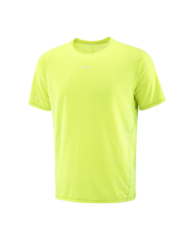 Acid Lime / Butterfly