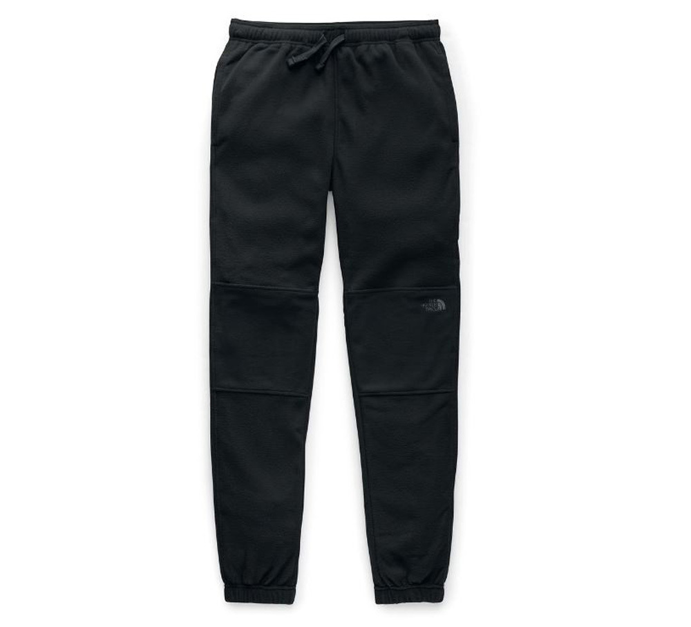 men's the north face fleece pants