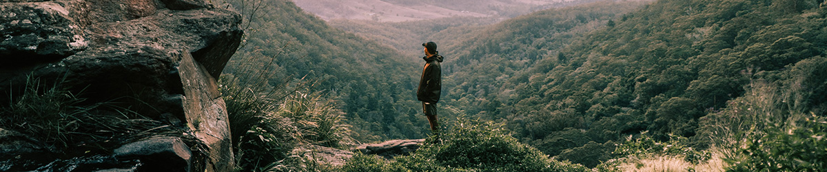 Person standing at a lookout over rainforest at Springbrook, QLD