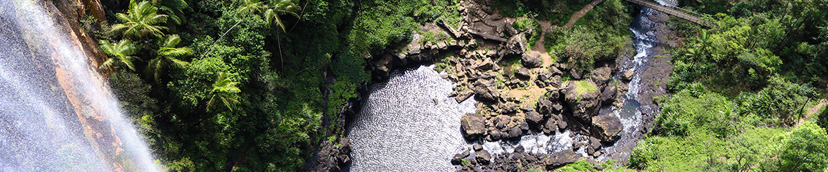 Waterfall in a rainforest at Springbrook, QLD