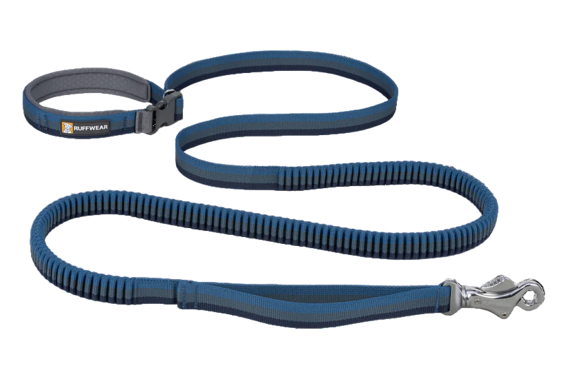 Ruffwear Roamer Bungee Dog Leash - Orion Blue