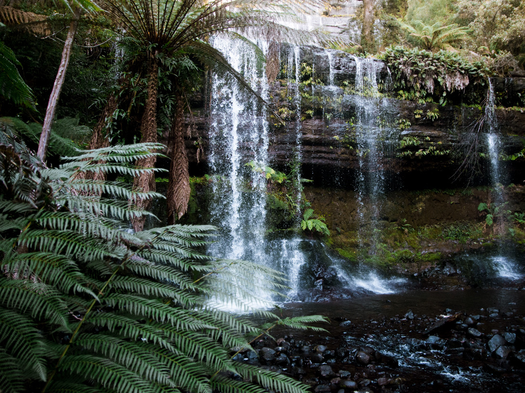 Russell Falls Tasmania