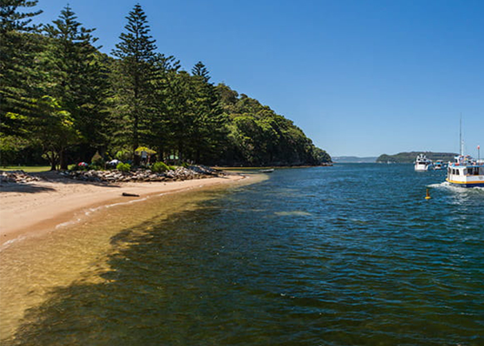 The Basin Campground beachfront on the water