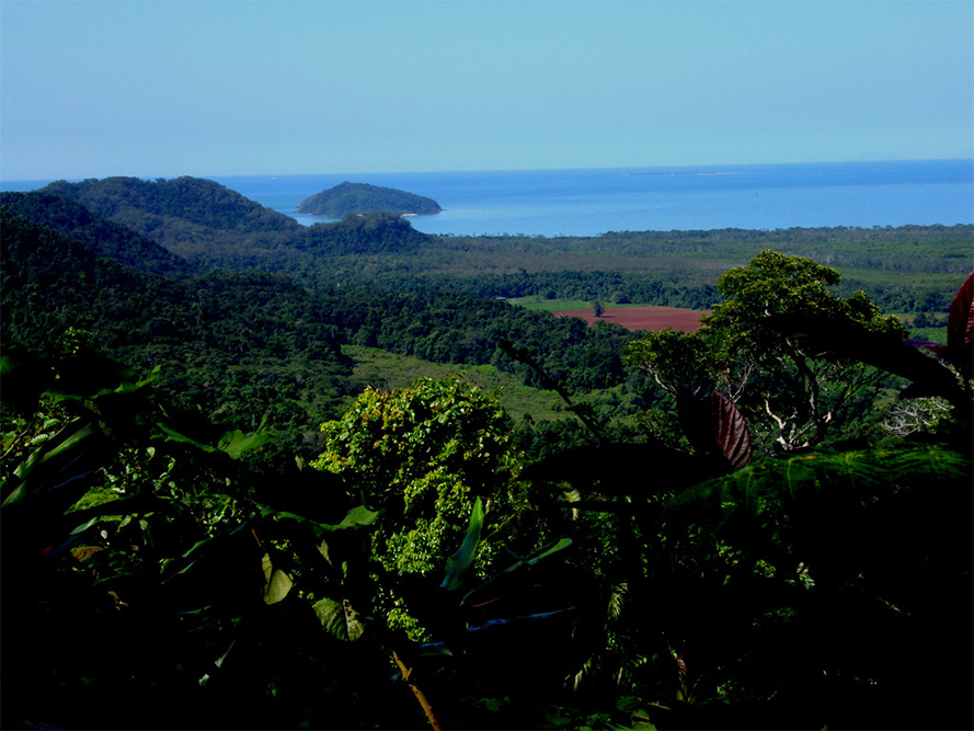 North Beach, Cape Tribulation, Daintree National Park, QLD