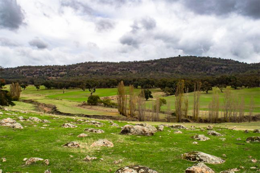 Mount Beckworth Scenic Reserve, VIC