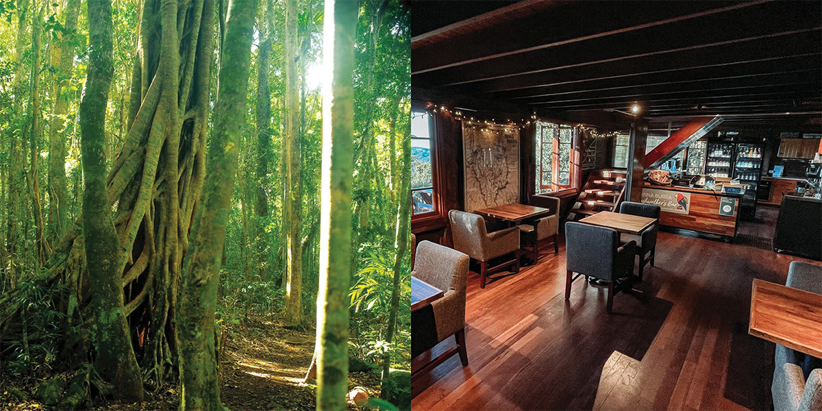 Binna Burra Forest on the left and inside Binna Burra Lodge on the right