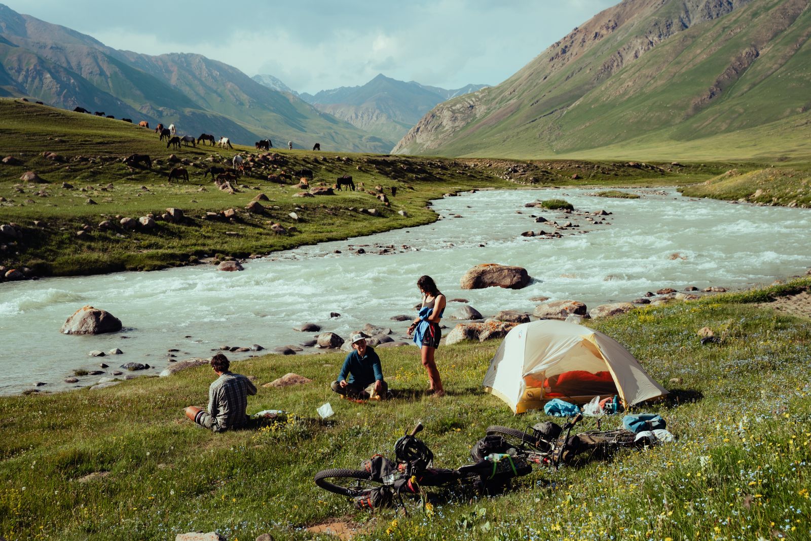 Camping near a creek with horses