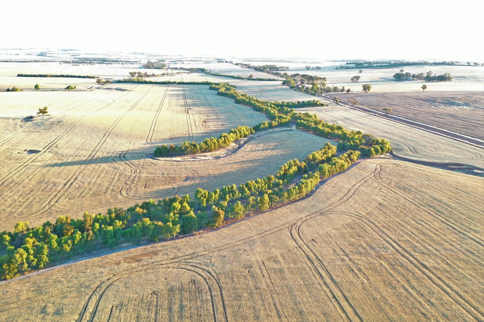 Image of the Western Australia Restoration project