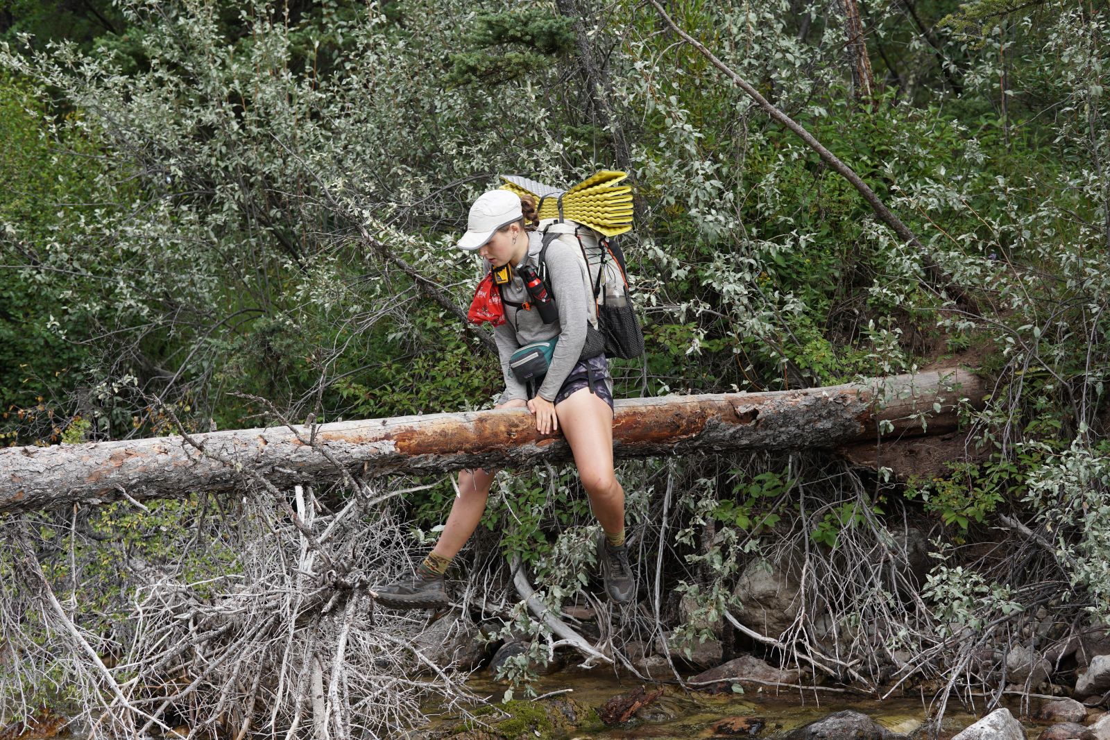 Photo: A thru-hiker sliding on a log to keep their feet dry