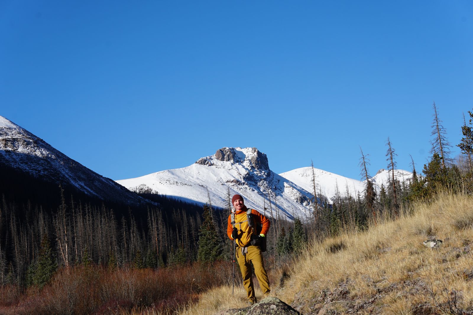 Wombat in the San Juan mountains of Southern Colorado