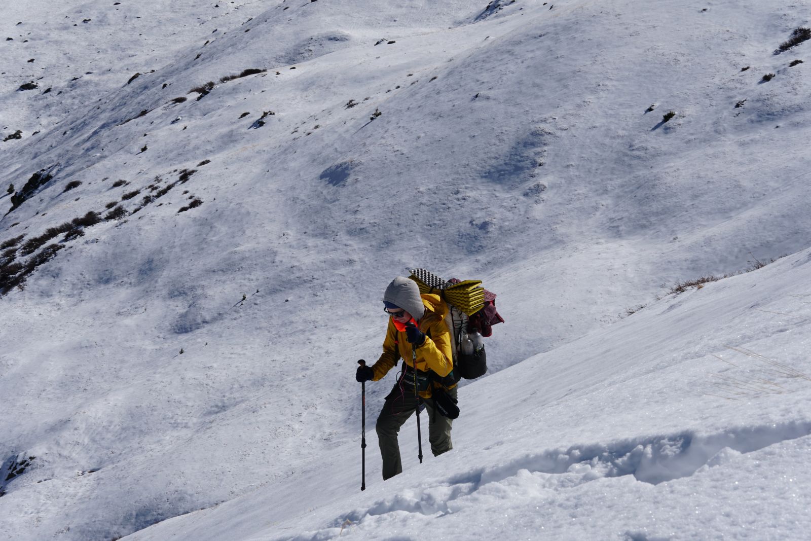 Ratatouille navigating a dangerous pass in the San Juans