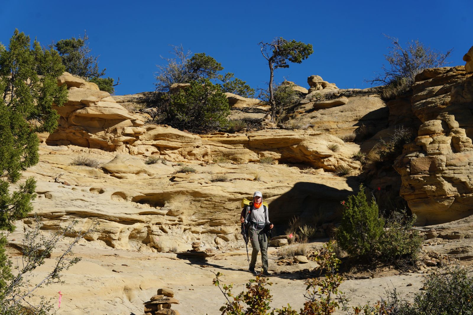 photo: Ratatouille descending from a mesa by following cairns