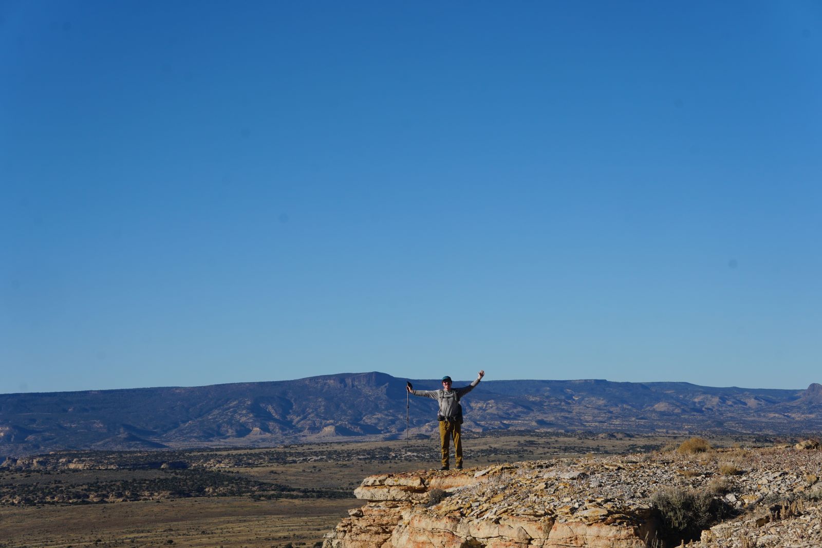 photo: Wombat atop a mesa