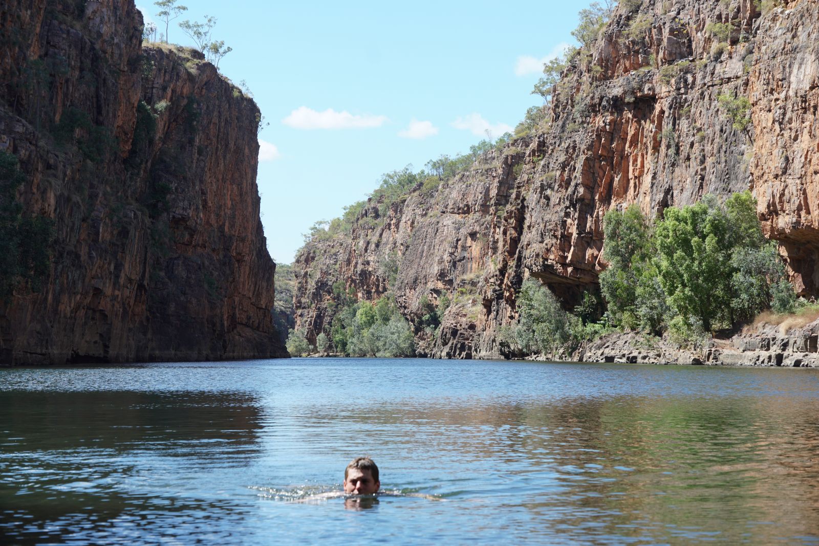 Person swimming in a waterhole