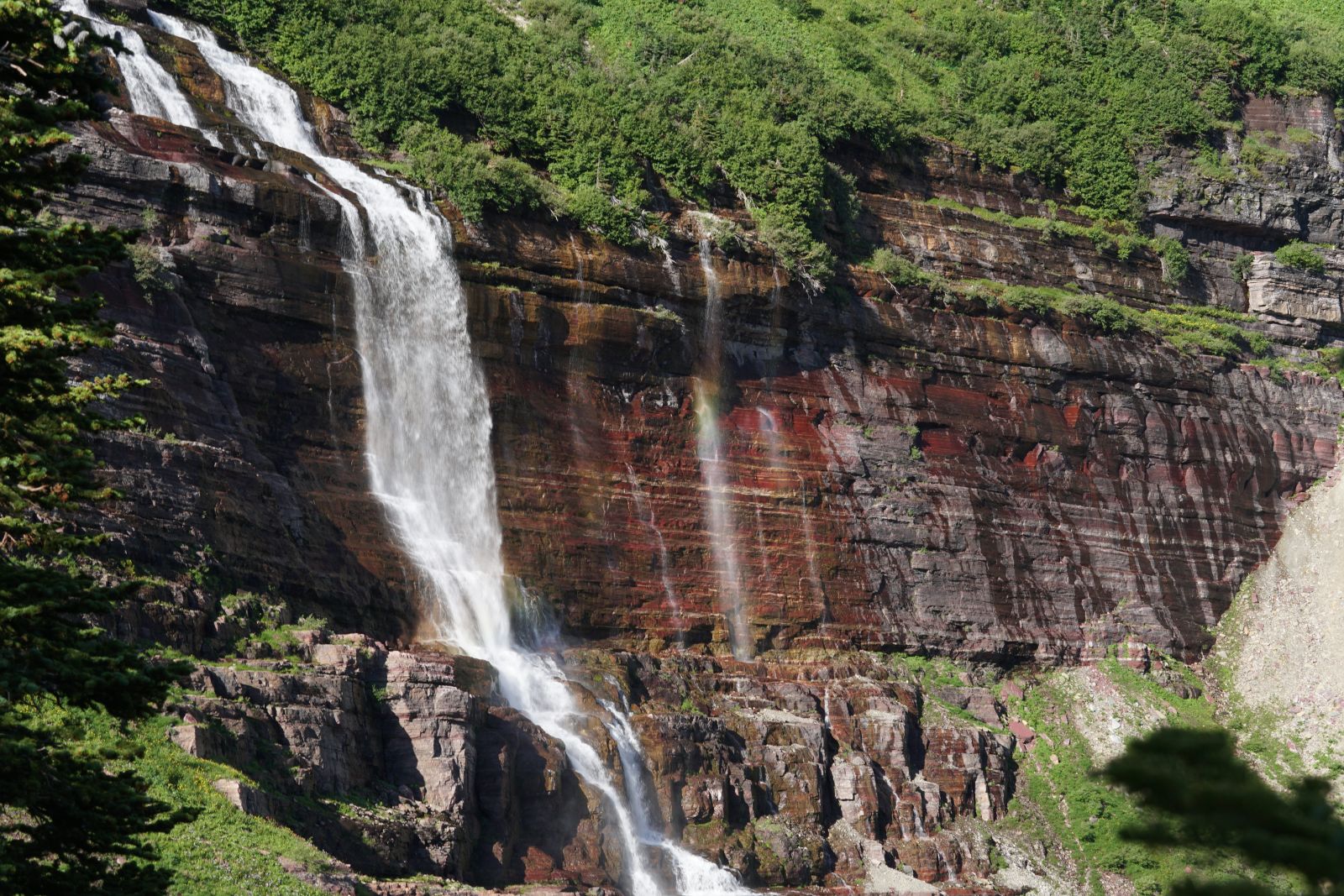 Lush scenery in Glacier National Park