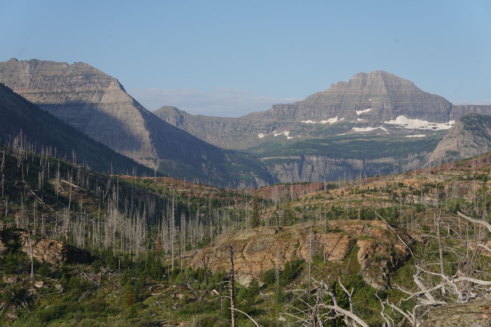 Photo of Burnt landscape in Northern Montana