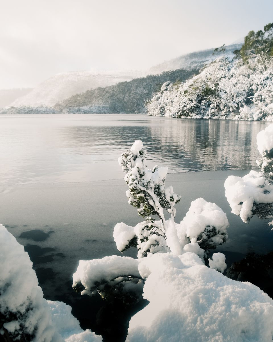 Lake circled with snow covered trees