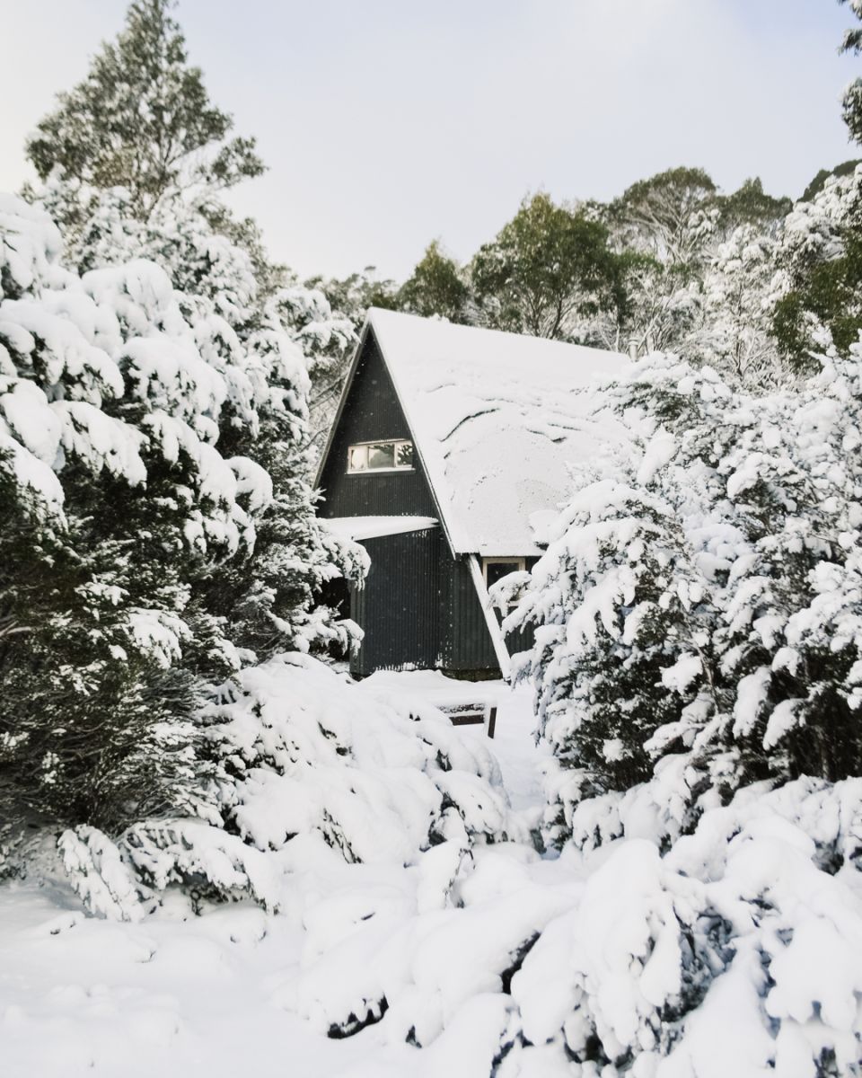 Hut covered in snow and surrounded by tress