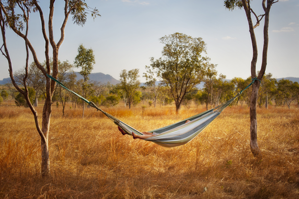 hammock shelter