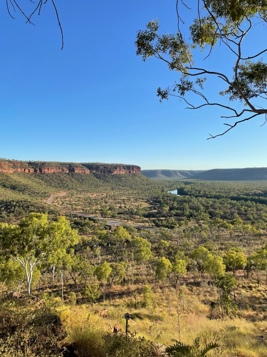 View from a lookout over the grasslands and trees with red, rocky ledges