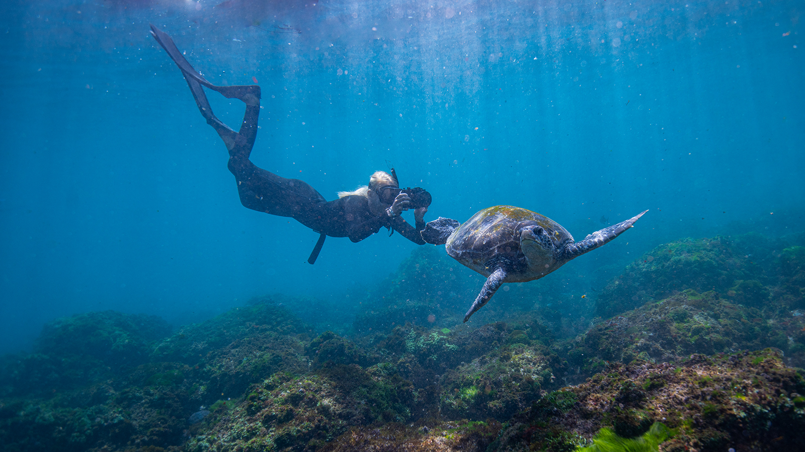Jemma snorkling alongside a turtle underwater