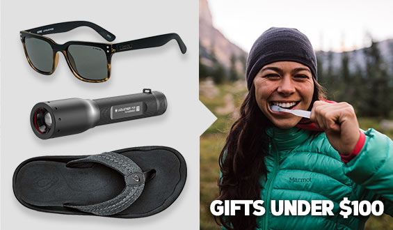 Gifts under $100