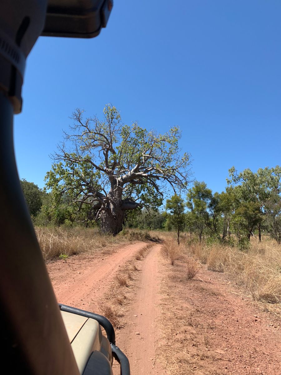 View 4WD on red dirt road