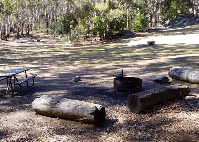 Campground with a firepit and logs and picnic table
