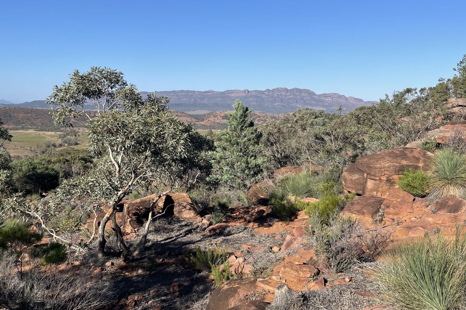 flinders ranges photo lauren clark